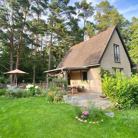 Dierhaus Between Coastal Forest & Sea In Dierhagen Neuhaus (Mecklenburg-Vorpommern)