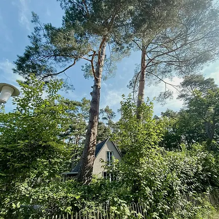 Dierhaus Between Coastal Forest & Sea In Dierhagen Neuhaus (Mecklenburg-Vorpommern)